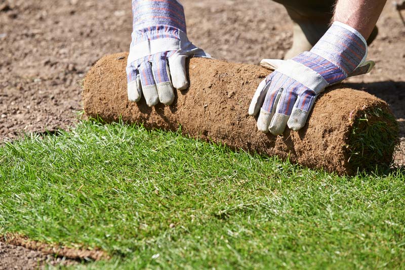 Close Up Of Landscape Gardener Laying Turf For Lawn