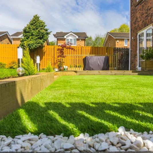 A modern garden with a new planted lawn decking shrubs and borders. Designed and owned by contributor. A good image for Landscape gardiners or designers