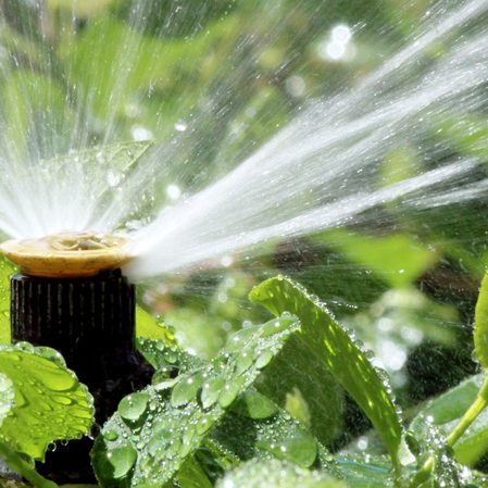 dreamstime_s_30662963 Automatic Garden Irrigation Spray system watering flowerbed