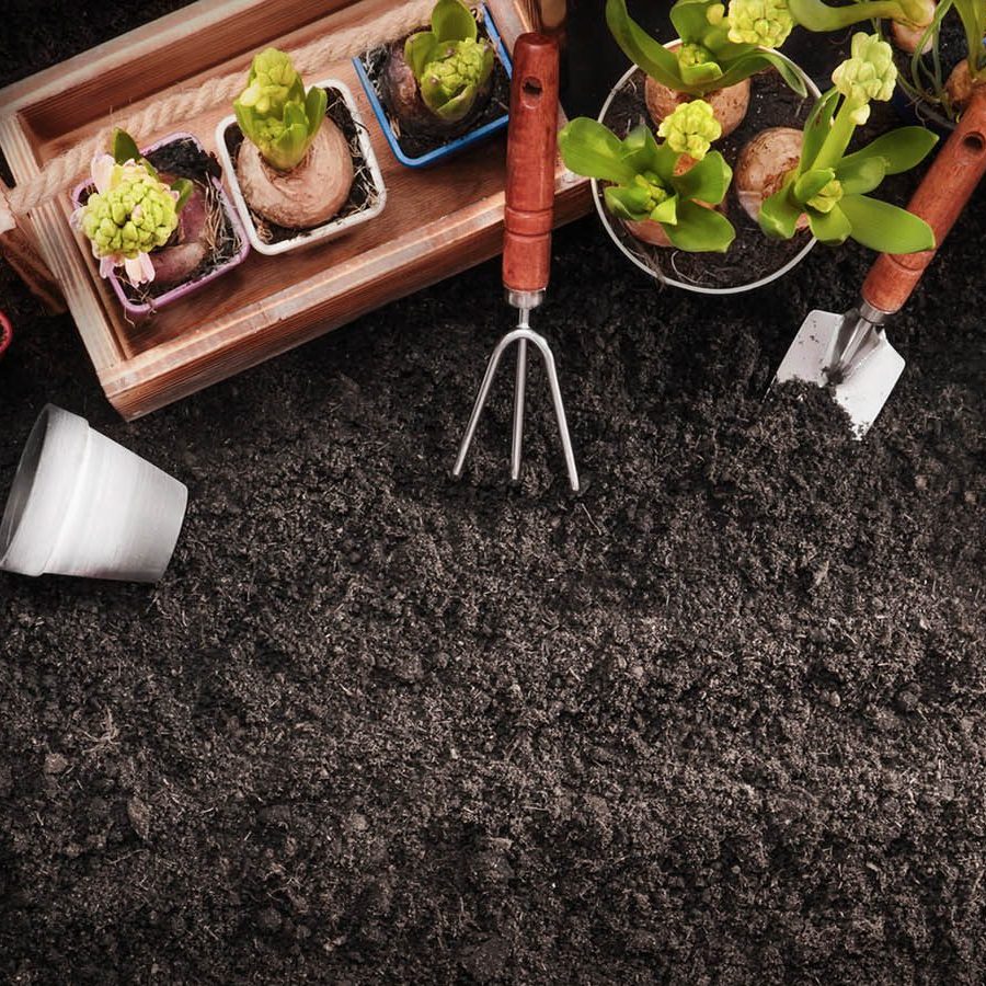 Gardening Tools and Plants. Spring Garden Works Concept garden bedding with trowel