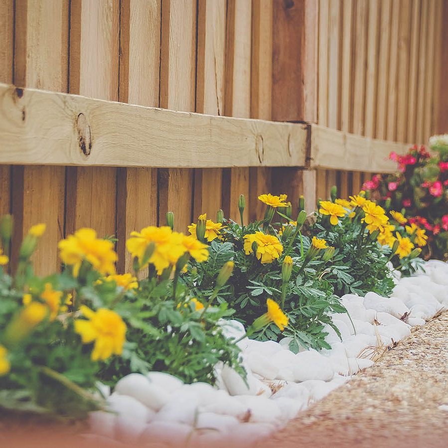 colourful plants beside fence high resolution